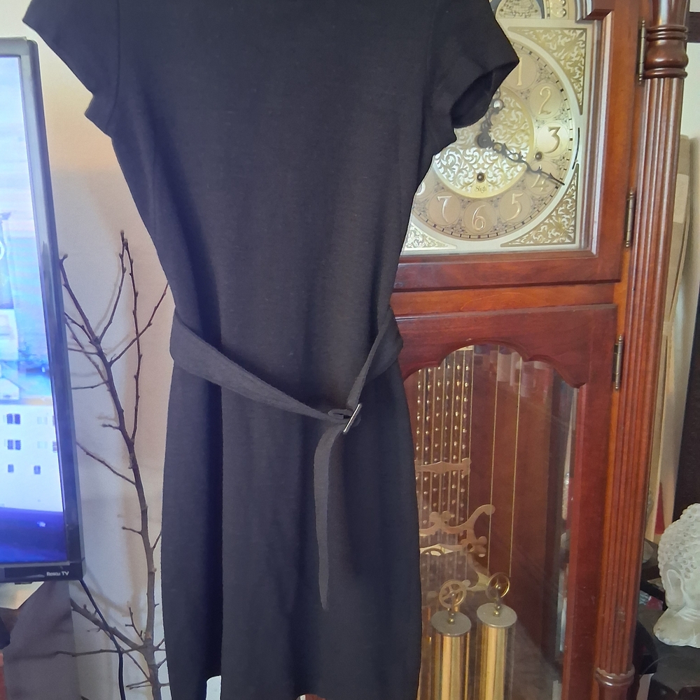 Elegant Black Belted Dress